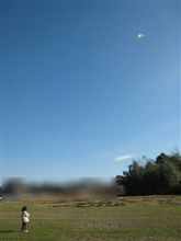 お正月といえば。