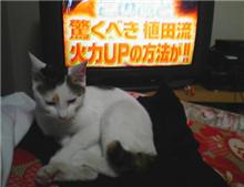 近所の皆さん・・ごめんなさい