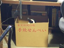 ドライブ