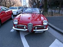 ジュリアスパイダー