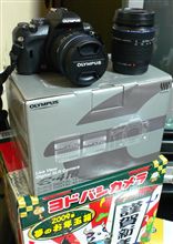 こんなん買いました