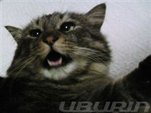 mochaさんキレる？！　いや、オレの方がキレそう！