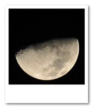 にきび面のHalf Moon