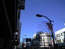 定点観測　1/6いまさら…