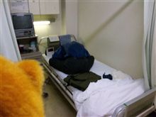 隣は何をする人ぞ・・・・ ２