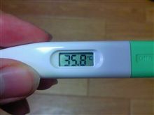 本日の体調