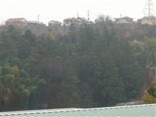 みぞれに変わってきました