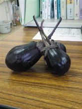 これが「三なすび」の茄子だ！