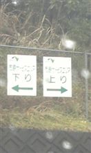 お昼は裏技で～ヾ(･∀･)/