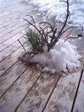 芸術!?