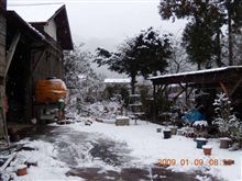 今日は東京地方に積雪～♪