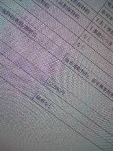 セレナ君の保険