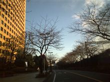 おはようございます。