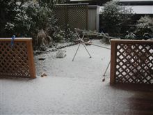 なんで雪なの?