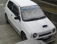 降ってるネェ・・。