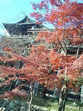 新年初給油