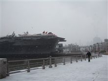 とうとう雪が降ってきました。