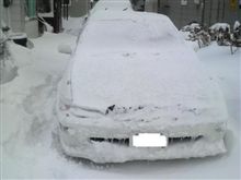 昨日に引き続き雪です