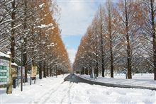 再び雪国へ