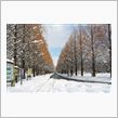 再び雪国へ