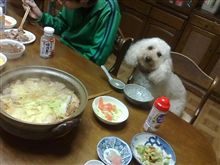 今夜は　・・・・・・　最高＾＾ｂ