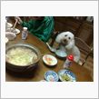 今夜は　・・・・・・　最高＾ ...
