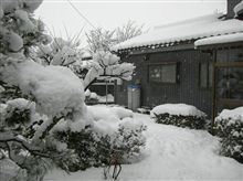 積もったね。