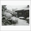 積もったね。