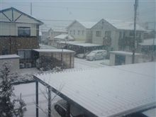 雪がｷﾀ━━━━(ﾟ∀ﾟ)━━━━!!