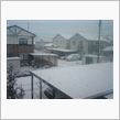 雪がｷﾀ━━━━(ﾟ∀ﾟ)━ ...