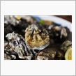 昼間からウマウマ