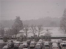 あららら・・・雪が・・・(^-^;