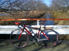 ＴＣＲアライアンスＳＥに乗って、冬の今井の桜を見に～♪