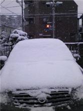 あ～　雪　止まない！