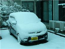 動けず･･･