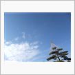 天気がいいので散歩