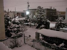 ついに