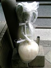 鹿児島不思議なもの日記！④ 