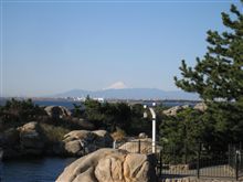 ご無沙汰しておりますm(_ _&quot;m)ペコリ 