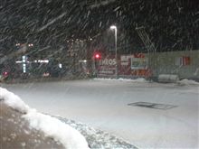 雪に、はやる