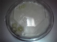 胡同家常菜 丸ビル店 杏仁豆腐