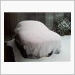 朝起きたら雪が(￣□￣;)