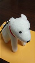 お父さんってしゃべるんだー！