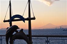 フォトギャラリーをアップしましたよ♪【東京遠征 1日目(2009-01-10) 移動編 No.2】