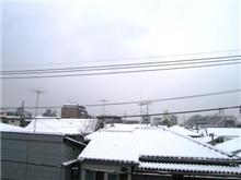 ゆきだ～♪