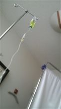 体調不良