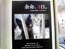 痛烈な想い