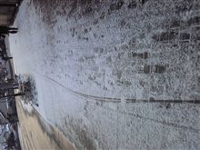 雪