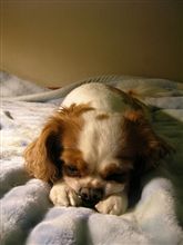 眠くて眠くて・・・。