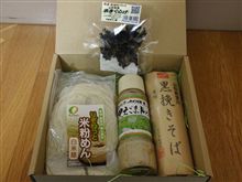 五月雨を　あつめてはやし　最上川
